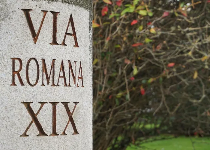 Daire Via Romana Xix